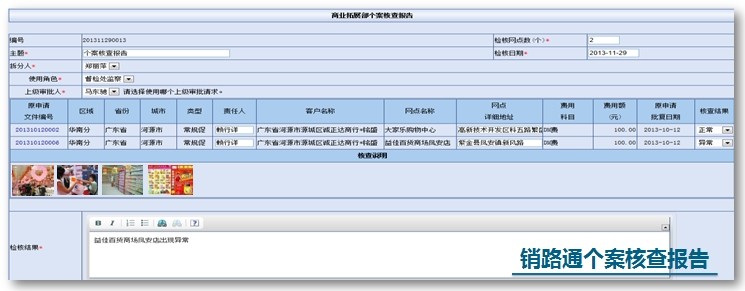 费用核查报告